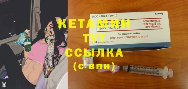 прущие грибы Бронницы