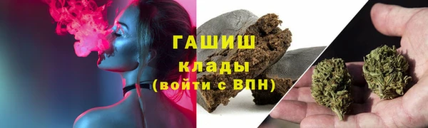 прущие грибы Бронницы