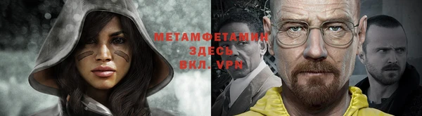 прущие грибы Бронницы