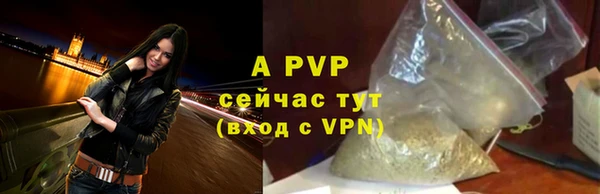 крисы Богородск