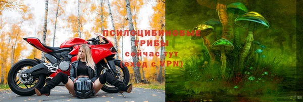 PSILOCYBIN Богородицк