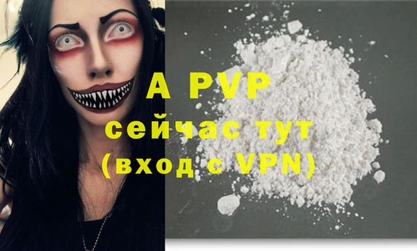 PSILOCYBIN Богородицк