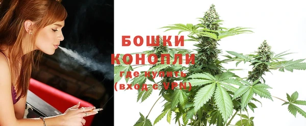 прущие крисы Бородино