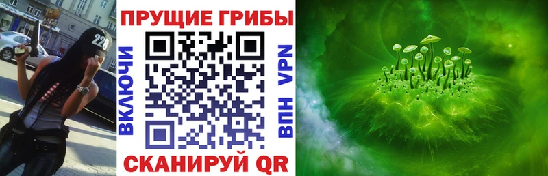 Псилоцибиновые грибы Psilocybine cubensis  Дюртюли 